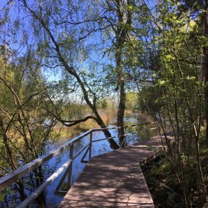 Photo 1 - Kupskalni nature trail