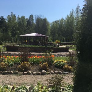 Photo 2 - Dvēseles veldzes dārzs