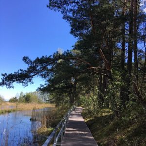 Photo 2 - Kupskalni nature trail