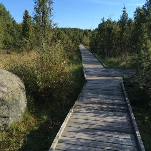 Photo 2 - Šaukļu dabas taka