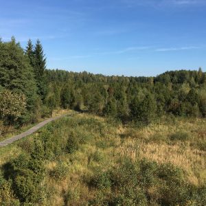 Photo 3 - Šaukļu dabas taka