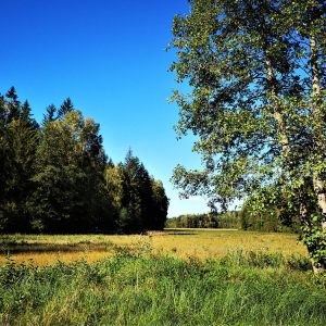 Photo 5 - Šeires izziņas taka