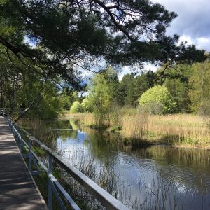 Photo 7 - Kupskalni nature trail