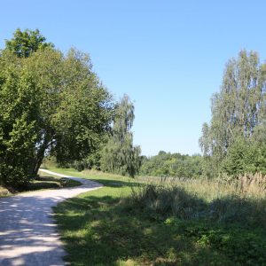 Photo 8 - Rada Venta jõe vasakkaldal