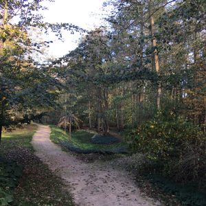 Photo 8 - Ventspils mereäärne park
