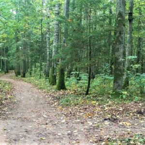 Photo 2 - Four new accessible nature trails built in Kurzeme