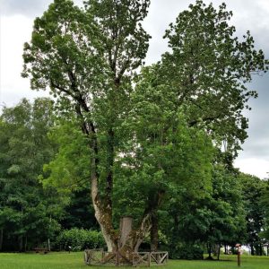 Photo 2 - Plateļi un apkārtne