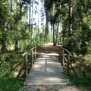 Photo 5 - Atpūtas parks “Laumas”