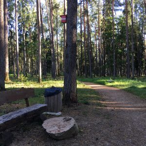 Photo 1 - Brocēnu mežaparks un Gaisa takas