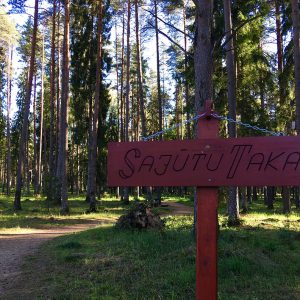 Photo 3 - Brocēnu mežaparks un Gaisa takas