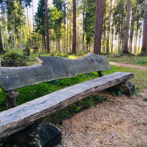 Photo 4 - Brocēnu mežaparks un Gaisa takas
