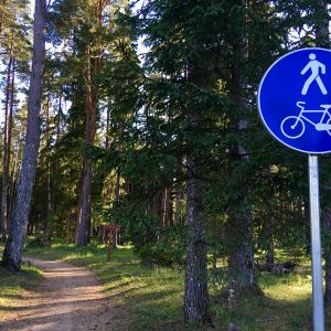 Photo 6 - Brocēnu mežaparks un Gaisa takas