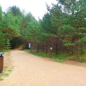 Photo 3 - Būšnieki järve loodusrada