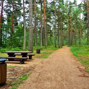 Photo 4 - Būšnieki järve loodusrada