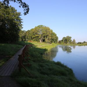Photo 3 - Durbe Castle Mound Trail