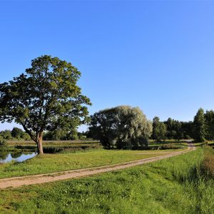 Photo 5 - Durbe Castle Mound Trail