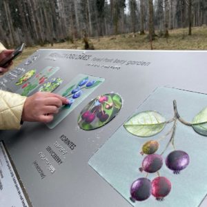 Photo 8 - Brocēni Forest Park and Obstacle Course