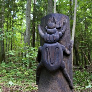 Photo 4 - Four new accessible nature trails built in Kurzeme