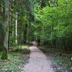 Photo 5 - Four new accessible nature trails built in Kurzeme