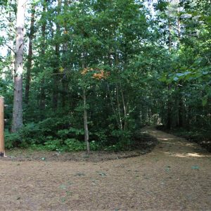 Photo 7 - Four new accessible nature trails built in Kurzeme