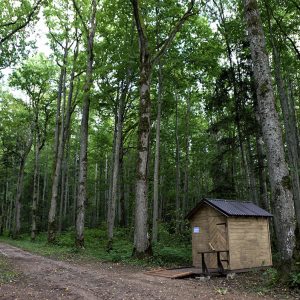 Photo 7 - Kalētu mežaparka takas