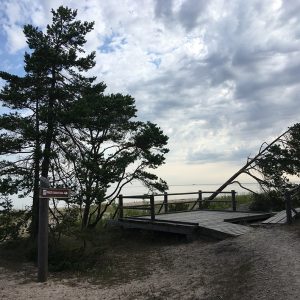 Photo 4 - Kolka Pine Trail