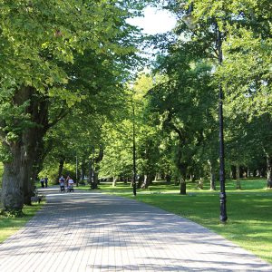 Photo 7 - Liepājas Jūrmalas parks