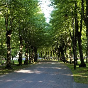 Photo 6 - Liepājas Jūrmalas parks