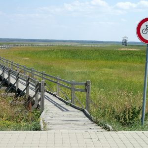 Photo 3 - Lake Liepāja Boardwalk