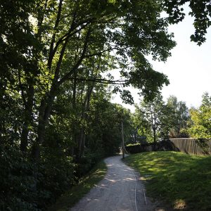 Photo 3 - Mārtiņsala Nature Trail