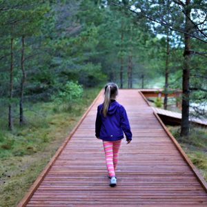 Photo 2 - Walking Path at Roja Beach