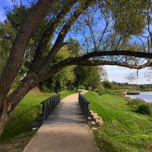 Photo 2 - Skrunda walking path