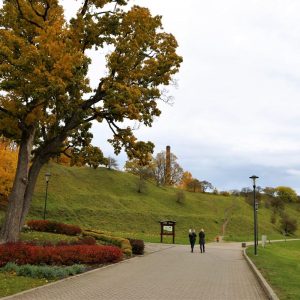 Photo 12 - Talsu promenāde