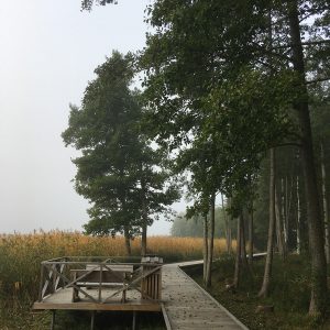 Photo 2 - Usma Elkrags Boardwalk