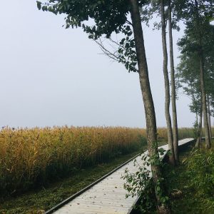 Photo 3 - Usma Elkrags Boardwalk