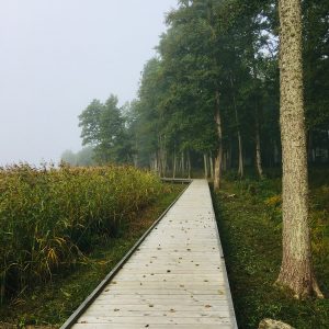 Photo 4 - Usma Elkrags Boardwalk