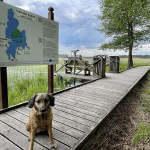 Photo 11 - Usma Elkrags Boardwalk