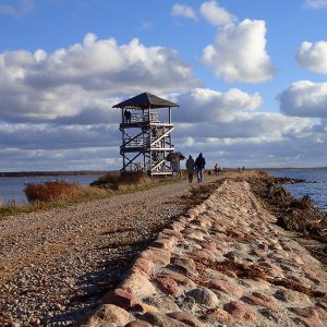 Photo 16 - Karosta, Liepāja, Bernāti – 1 day