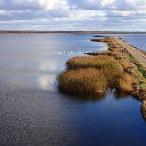 Photo 11 - Lake Liepāja Zirgu Island Trail