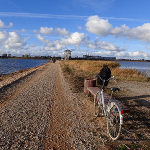 Photo 14 - Lake Liepāja Zirgu Island Trail