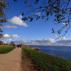 Photo 5 - Lake Liepāja Zirgu Island Trail