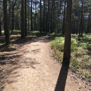 Photo 3 - Ēvažu dabas taka