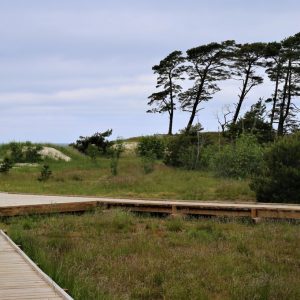 Photo 5 - Bernāti rannarada
