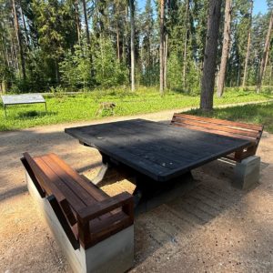 Photo 11 - Brocēni Forest Park and Obstacle Course