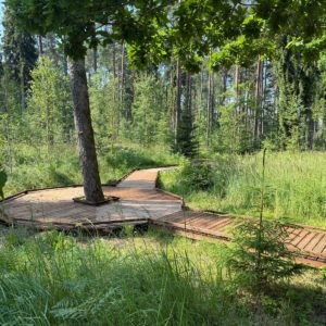 Photo 12 - Brocēni Forest Park and Obstacle Course