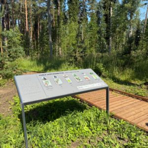 Photo 10 - Brocēni Forest Park and Obstacle Course