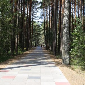 Photo 5 - Carnikava promenaad