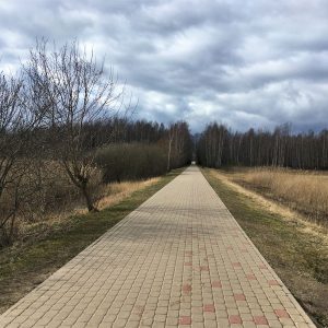 Photo 3 - Daugavgrīva loodusrada