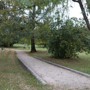 Photo 7 - Dole mõisapargi rajad