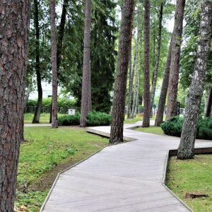 Photo 3 - Dzintari forest park